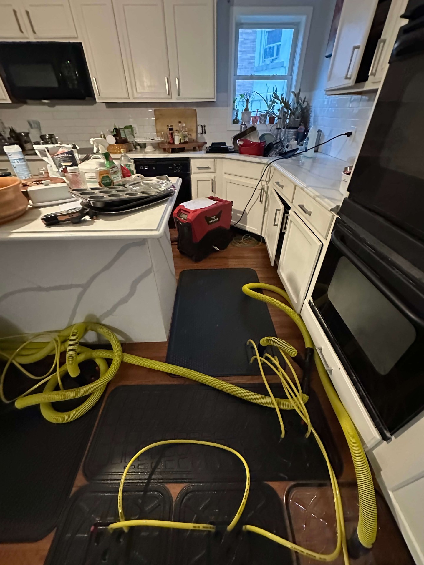 Injectidry floor drying system in use for hardwood floor water damage restoration