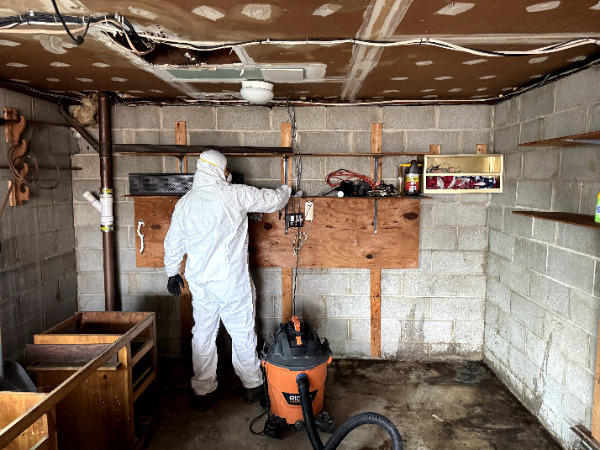 Professional water damage restoration equipment in use