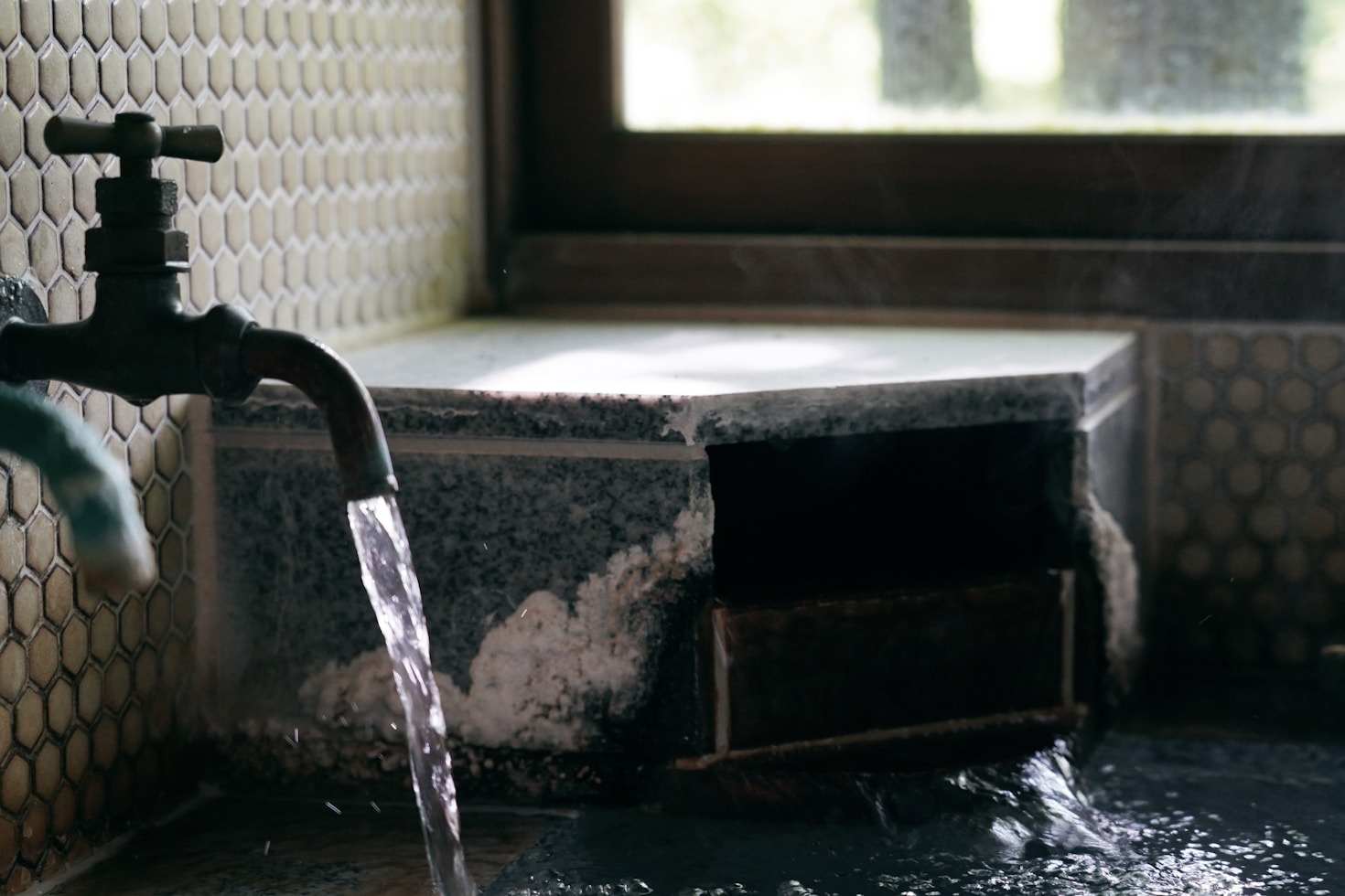 How to Identify and Treat Mold Early