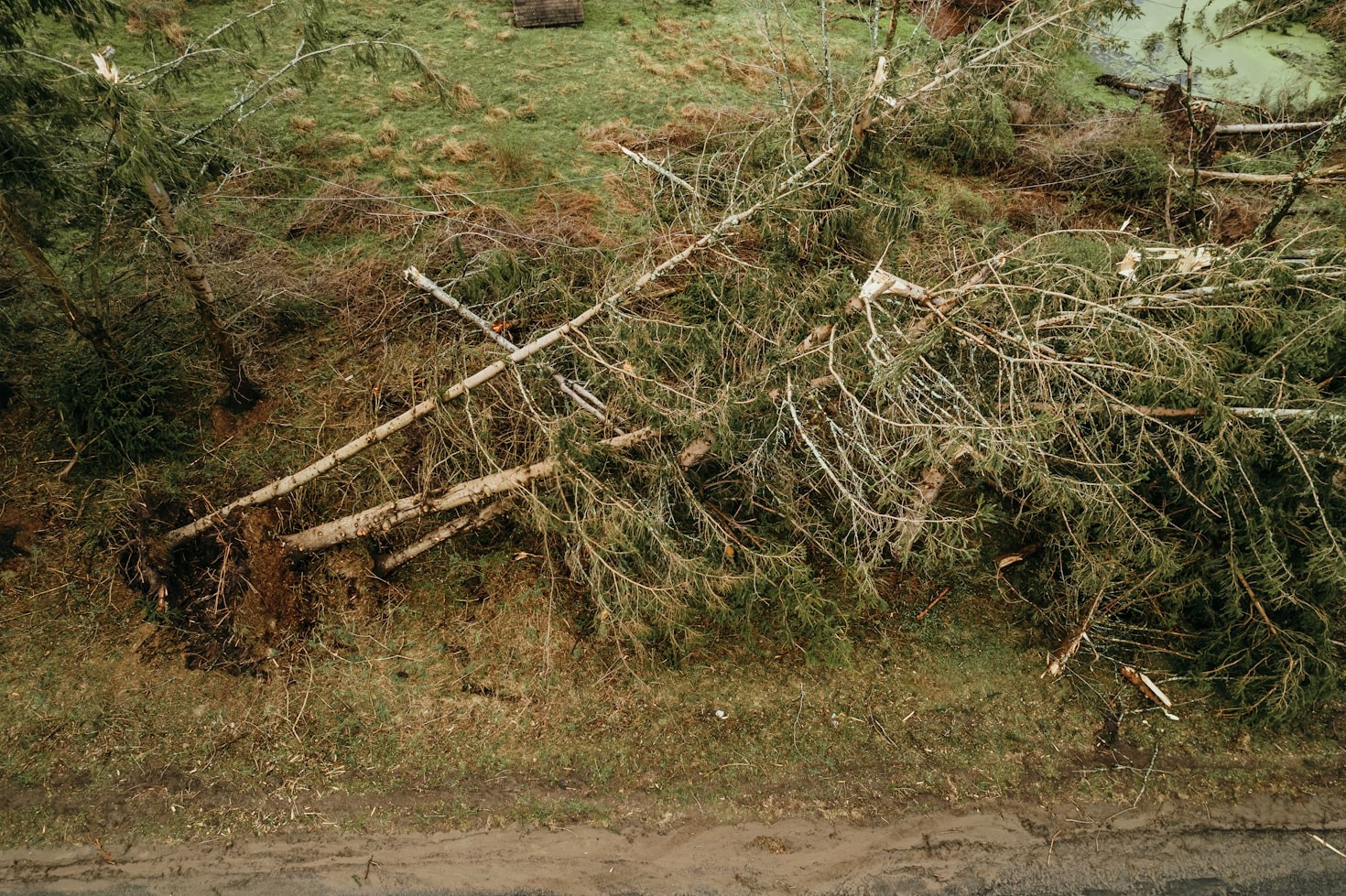 Customer Care: Going Beyond Restoration